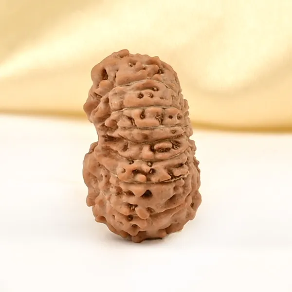 Techpandit_16_Mukhi_Rudraksha_Bead_Indonesia_Small