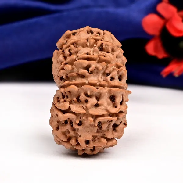 Techpandit_12_Mukhi_Rudraksha_Bead_Nepal_Large