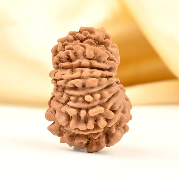 Techpandit_14_Mukhi_Nepal_Rudraksha_Bead