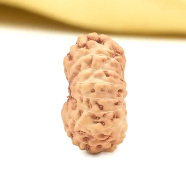 Techpandit_16_Mukhi_Rudraksha_Bead_Indonesia_Small