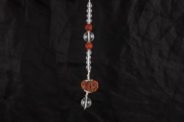 12_Mukhi_Hanging_For_Fame