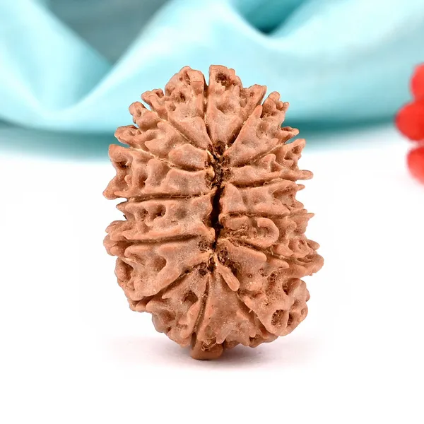 Techpandit_13_Mukhi_Nepal_Rudraksha_Bead