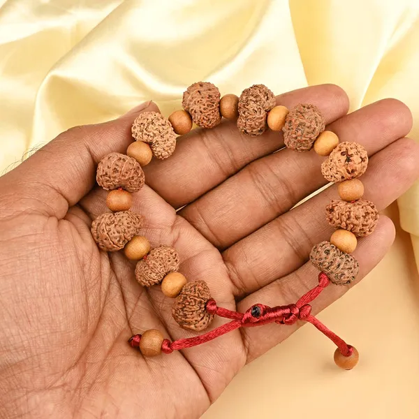 13_Mukhi_Rudraksha_X_White_Sandalwood_Adjustable_Bracelet