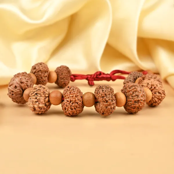 13_Mukhi_Rudraksha_X_White_Sandalwood_Adjustable_Bracelet