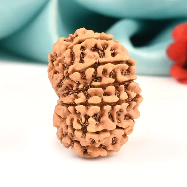 Techpandit_13_Mukhi_Rudraksha_Bead_From_Nepal