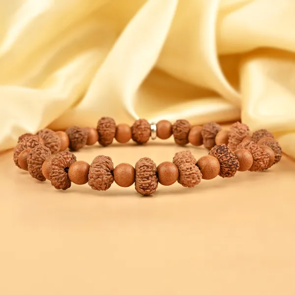 13_Mukhi_Rudraksha_X_White_Sandalwood_Bracelet