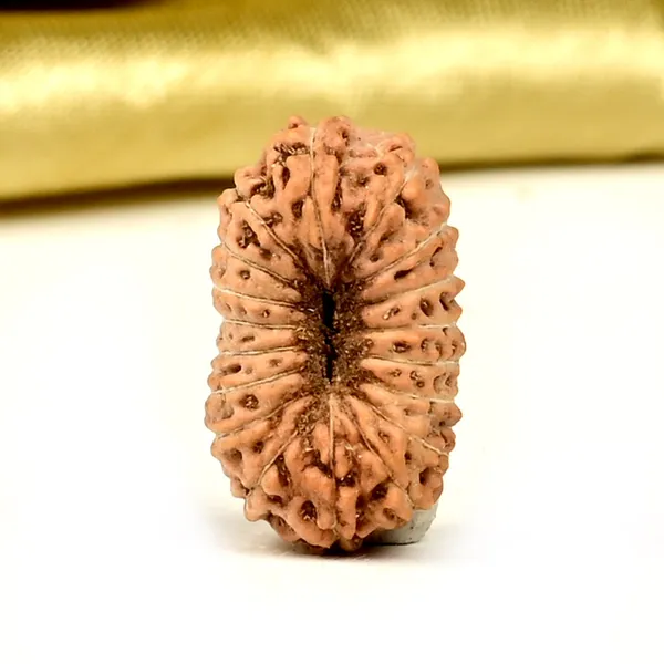 18_Mukhi_From_Java_Indonesia_Cxxxvii