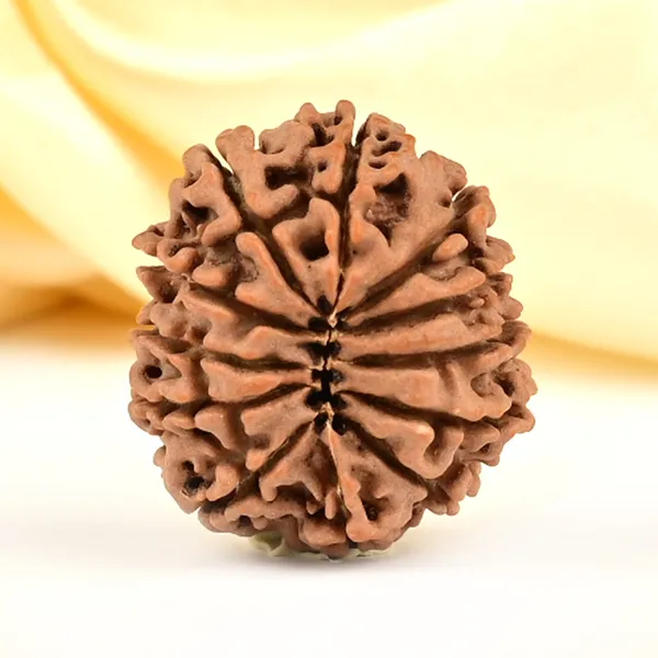 Techpandit_12_Mukhi_Rudraksha_Bead_Nepal_Origin