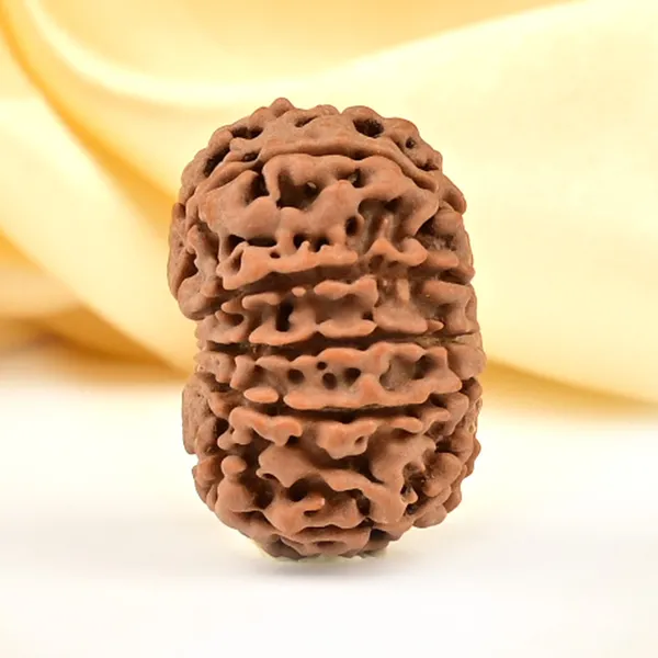 Techpandit_12_Mukhi_Rudraksha_Bead_Nepal_Origin