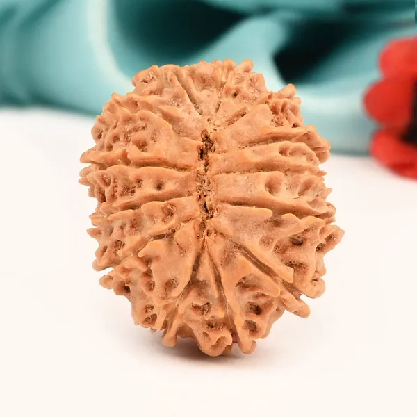 Techpandit_13_Mukhi_Nepal_Brown_Rudraksha_Bead