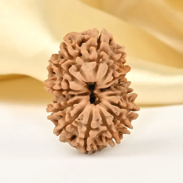 Techpandit_14_Mukhi_Nepal_Rudraksha_Bead