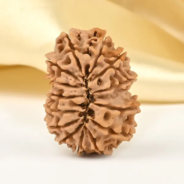 Techpandit_14_Mukhi_Nepal_Rudraksha_Bead