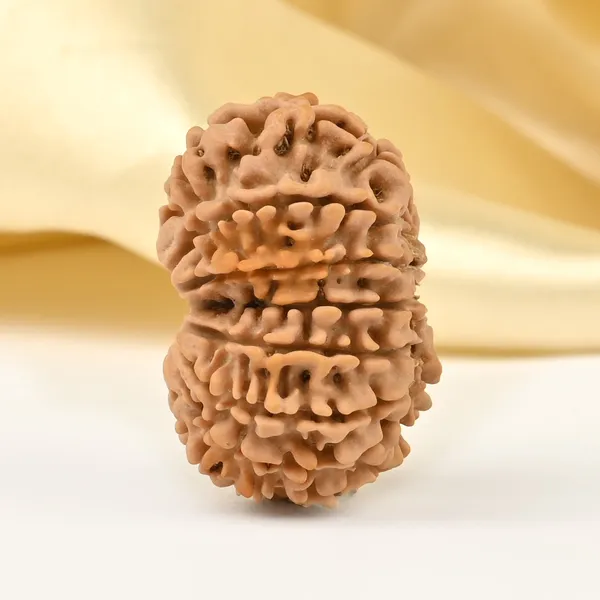 Techpandit_14_Mukhi_Nepal_Rudraksha_Bead