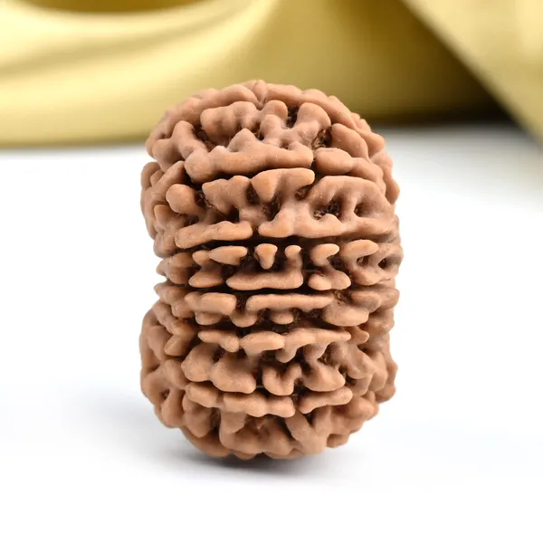 15_Mukhi_Rudraksha_Large_Bead_From_Nepal