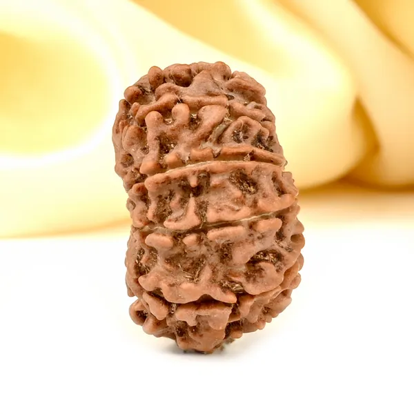 Techpandit_10_Mukhi_Nepal_Rudraksha_Bead