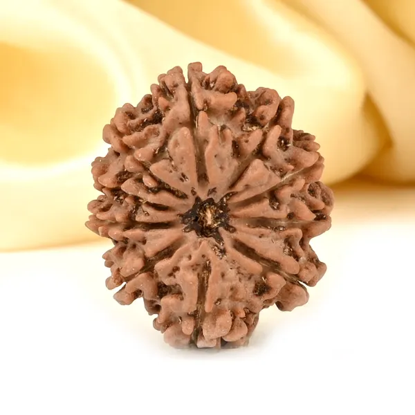 Techpandit_10_Mukhi_Nepal_Rudraksha_Bead