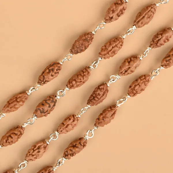 1_Mukhi_Shivnetra_925_Silver_Mala