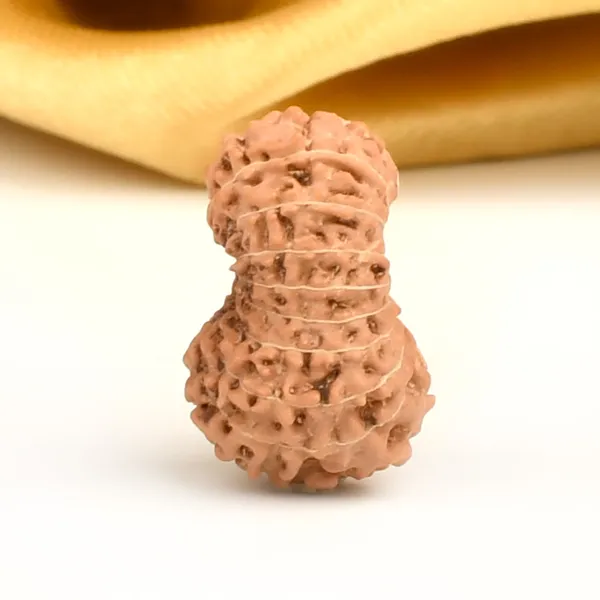 17_Mukhi_Indonesian_Rudraksha_Bead_-_Katyayani_Devi