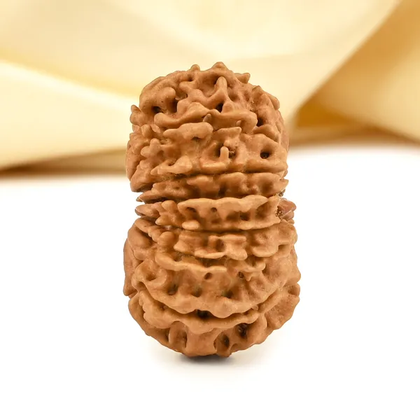 Techpandit_14_Mukhi_Nepali_Rudraksha_Bead