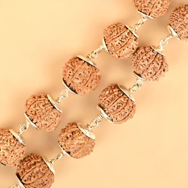 10_Mukhi_Nepali_Rudraksha_925_Silver_Caps_Kantha_Mala