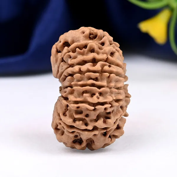 Techpandit_13_Mukhi_Nepal_Rudraksha_Bead