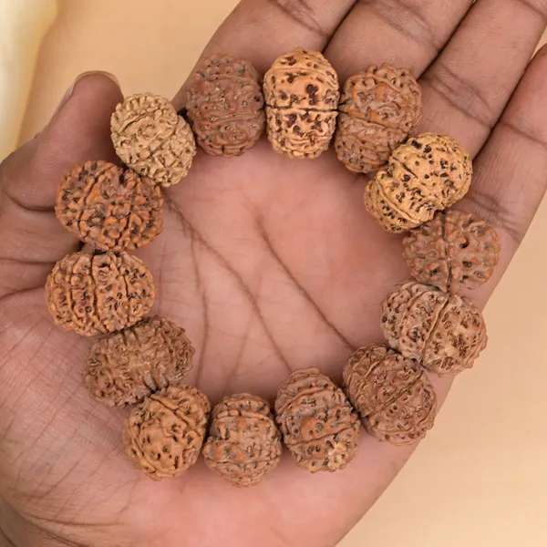 12_Mukhi_Nepali_Rudraksha_Bracelet