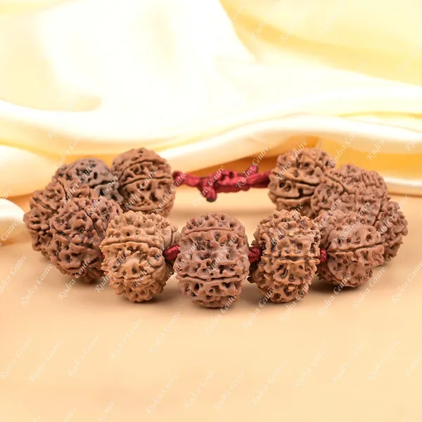 10_Mukhi_Nepali_Rudraksha_Adjustable_Bracelet