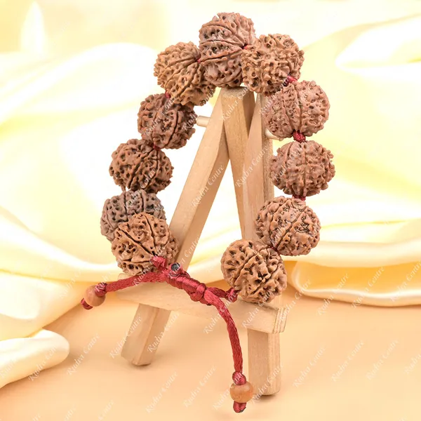 10_Mukhi_Nepali_Rudraksha_Adjustable_Bracelet