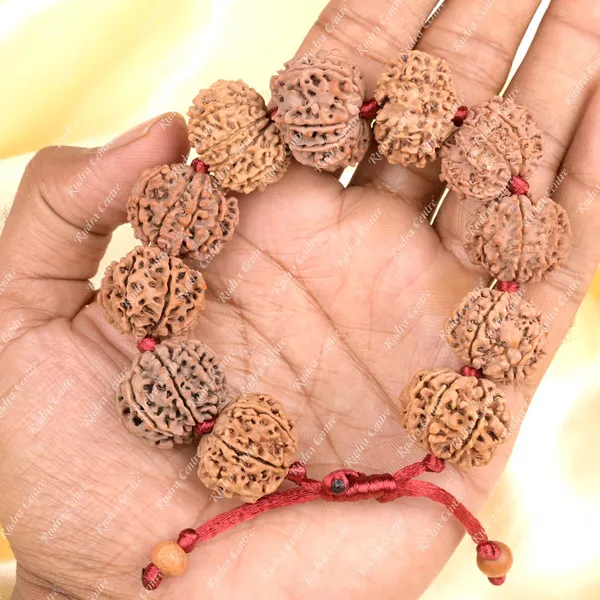 10_Mukhi_Nepali_Rudraksha_Adjustable_Bracelet