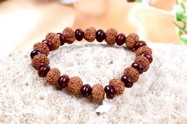 11_Mukhi_Ekadash_Bracelet_From_Java_With_Red_Sandalwood_Beads