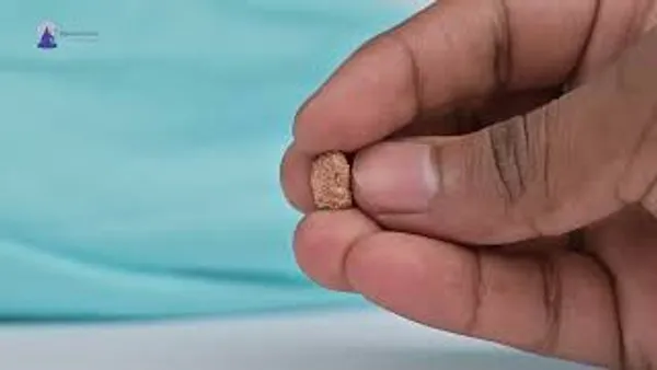 18_Mukhi_From_Java_Indonesia_Tiny_Viii