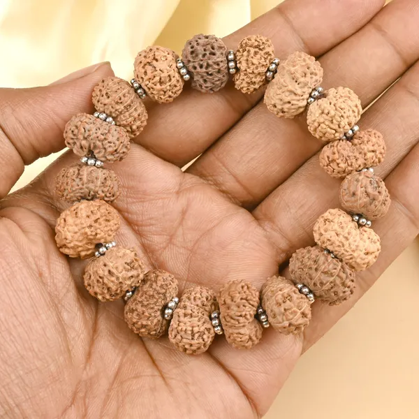Brown_Rudraksha_13_Mukhi_925_Silver_Chakri_Bracelet_For_Unisex