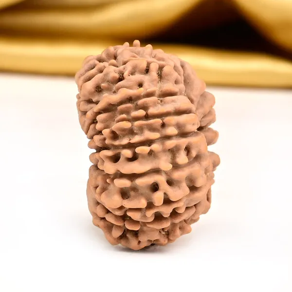 16_Mukhi_Rudraksha_Bead_Nepal_Tiny