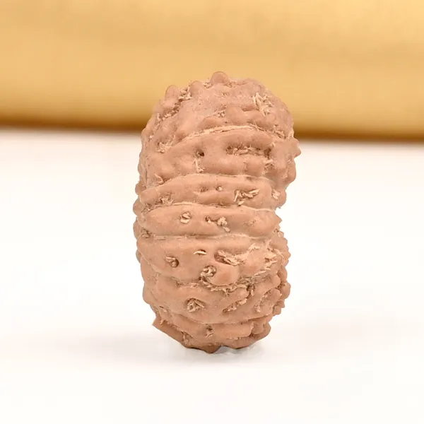 15_Mukhi_Java_Rudraksha_Bead_For_Emotional_Balance