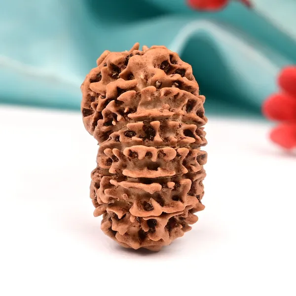 Techpandit_13_Mukhi_Nepal_Brown_Rudraksha_Bead