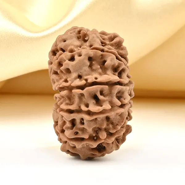 Techpandit_10_Mukhi_Nepal_Rudraksha_Bead