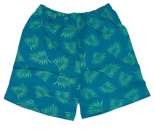 Green_Cotton_T-Shirt_Shorts_Set_For_Boys