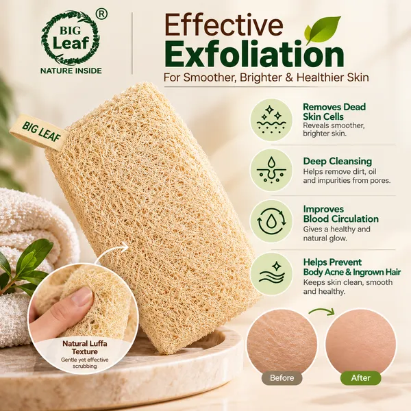Big_Leaf_Natural_Sun_Dried_Bath_Loofah,_Body_Sponge_&_Scrubber_for_Men_&_Women_|_Organic_Plant_Loofah_for_Bath_Shower_Skin_Exfoliation_(Pack_of_2)_