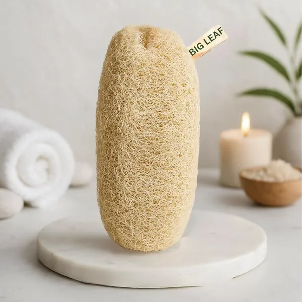 Big_Leaf_Natural_Sun_Dried_Bath_Loofah,_Body_Sponge_&_Scrubber_for_Men_&_Women_|_Organic_Plant_Loofah_for_Bath_Shower_Skin_Exfoliation_(Pack_of_2)_