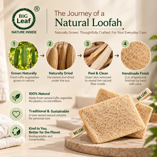 Big_Leaf_Natural_Sun_Dried_Bath_Square_Loofah,_Body_Sponge_&_Scrubber_for_Men_&_Women_|_Organic_Loofah_for_Bath_Shower_Skin_Exfoliation_(Pack_of_2)