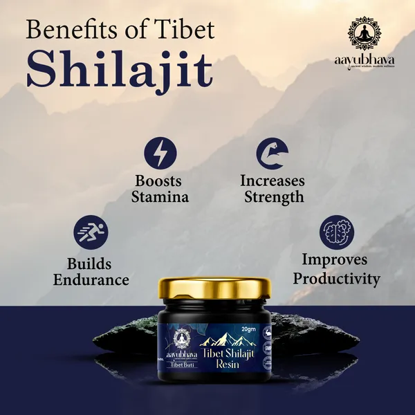 Tibet_Shilajit_Resin_(Hand-Processed_for_Maximum_Potency)