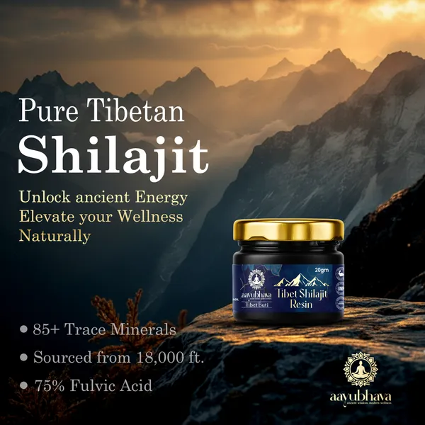 Tibet_Shilajit_Resin_(Hand-Processed_for_Maximum_Potency)