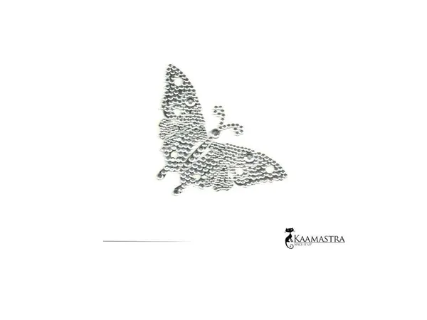 The_Silver_Butterfly_Vag_Jewel
