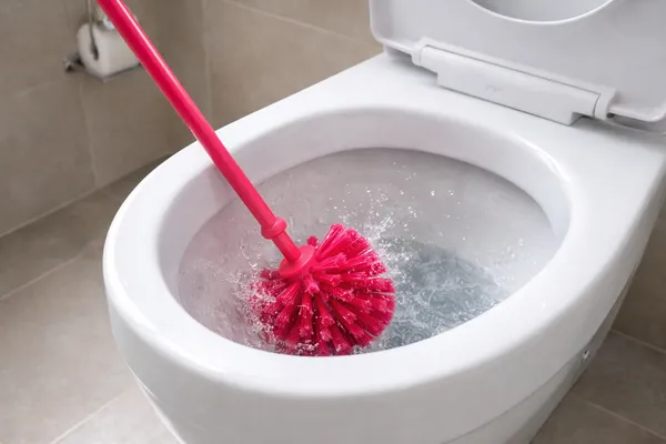 Plastic_Everyday_Solid_Pink_Long_Handle_Toilet_Brush
