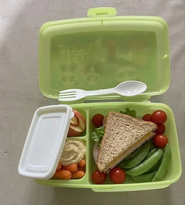 Shiv_Shakti_lunch_box_01_2_Containers_Plastic_School_Lunch_Box_(600_ml)