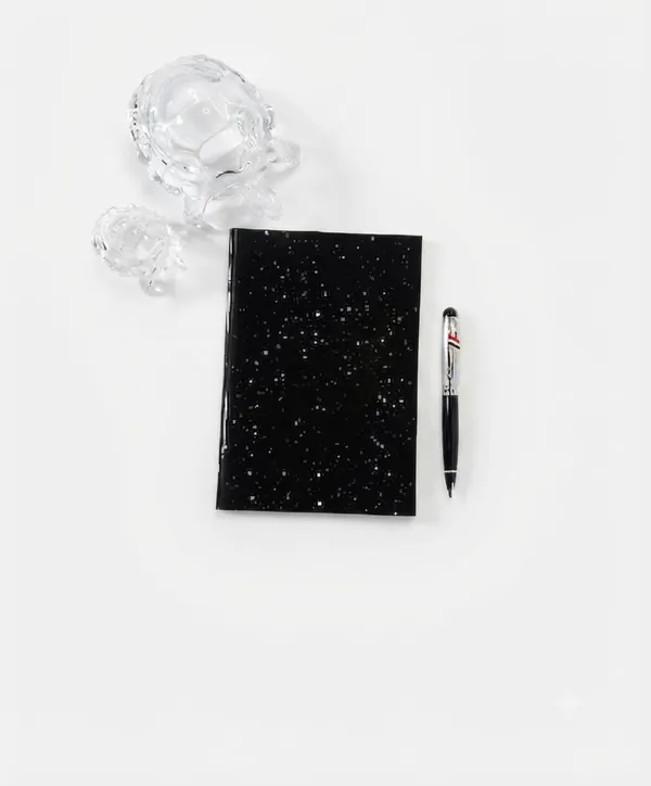 House_Of_Earthy_Astronaut_Plain_Pocket_Notebook_Set_Of_4