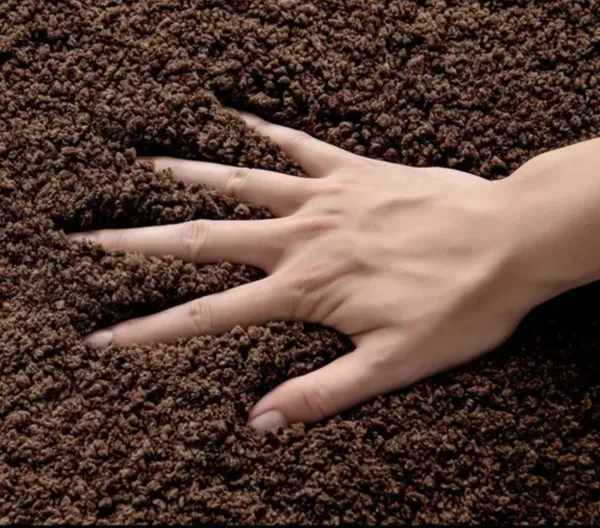 Shaggy_Solid_Brown_Area_Rug