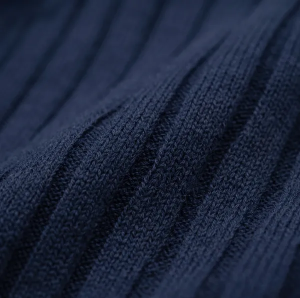 Navy_And_Beige_Cotton_Body-Fit_Half_Sleeve_Polo_For_Men