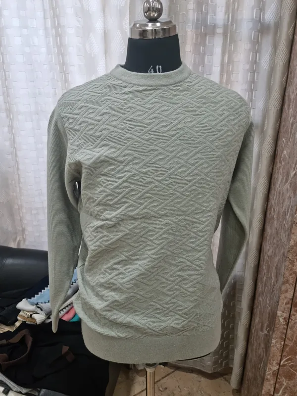 Sage_Green_Knit_Regular_Fit_Sweater_for_Men