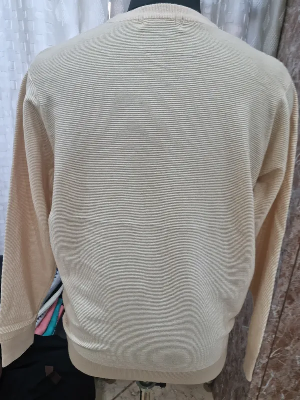 Beige_Knit_Regular_Fit_Sweater_for_Men